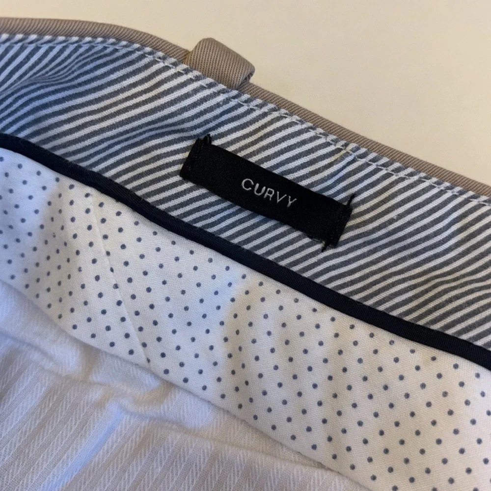 Talbots pants curvy straight leg slide button/zip closure flat front size 10
